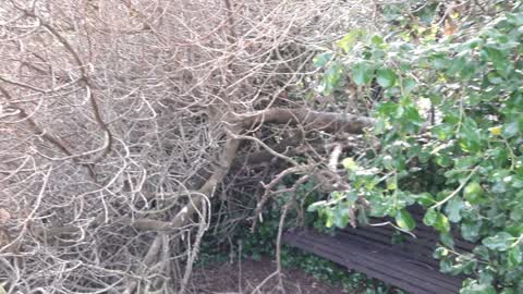 Parks, a report photo