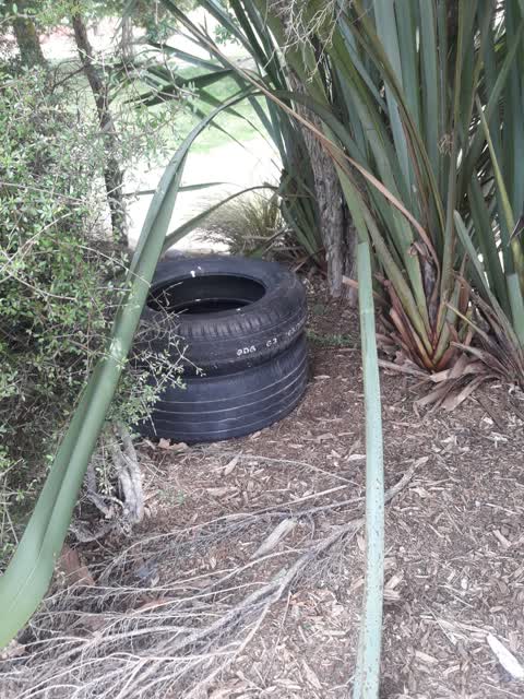 Rubbish/Recycling, a report photo