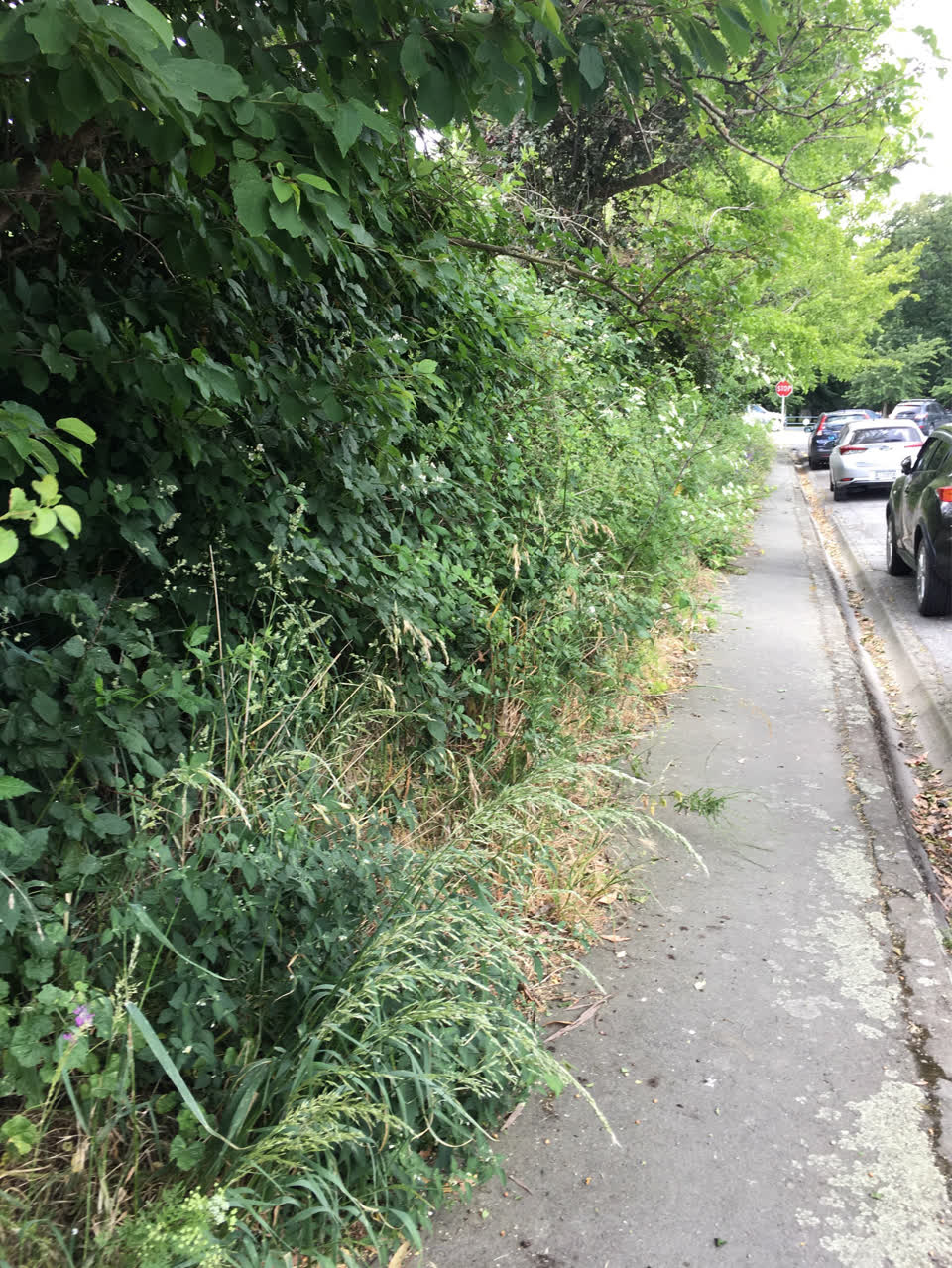The photograph attached to this roading/streets report