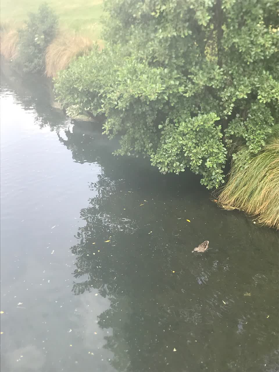 The photograph attached to this wastewater/stormwater report
