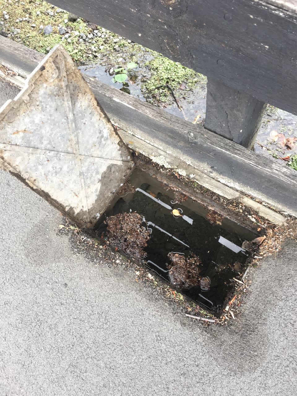 The photograph attached to this water supply report