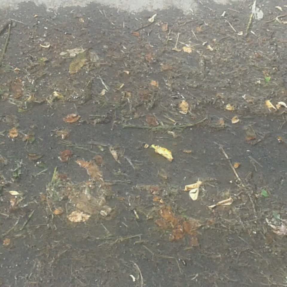 The photograph attached to this water supply report