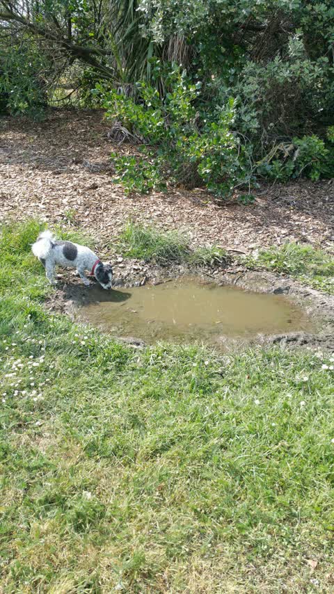 Wastewater/Stormwater — a report photo