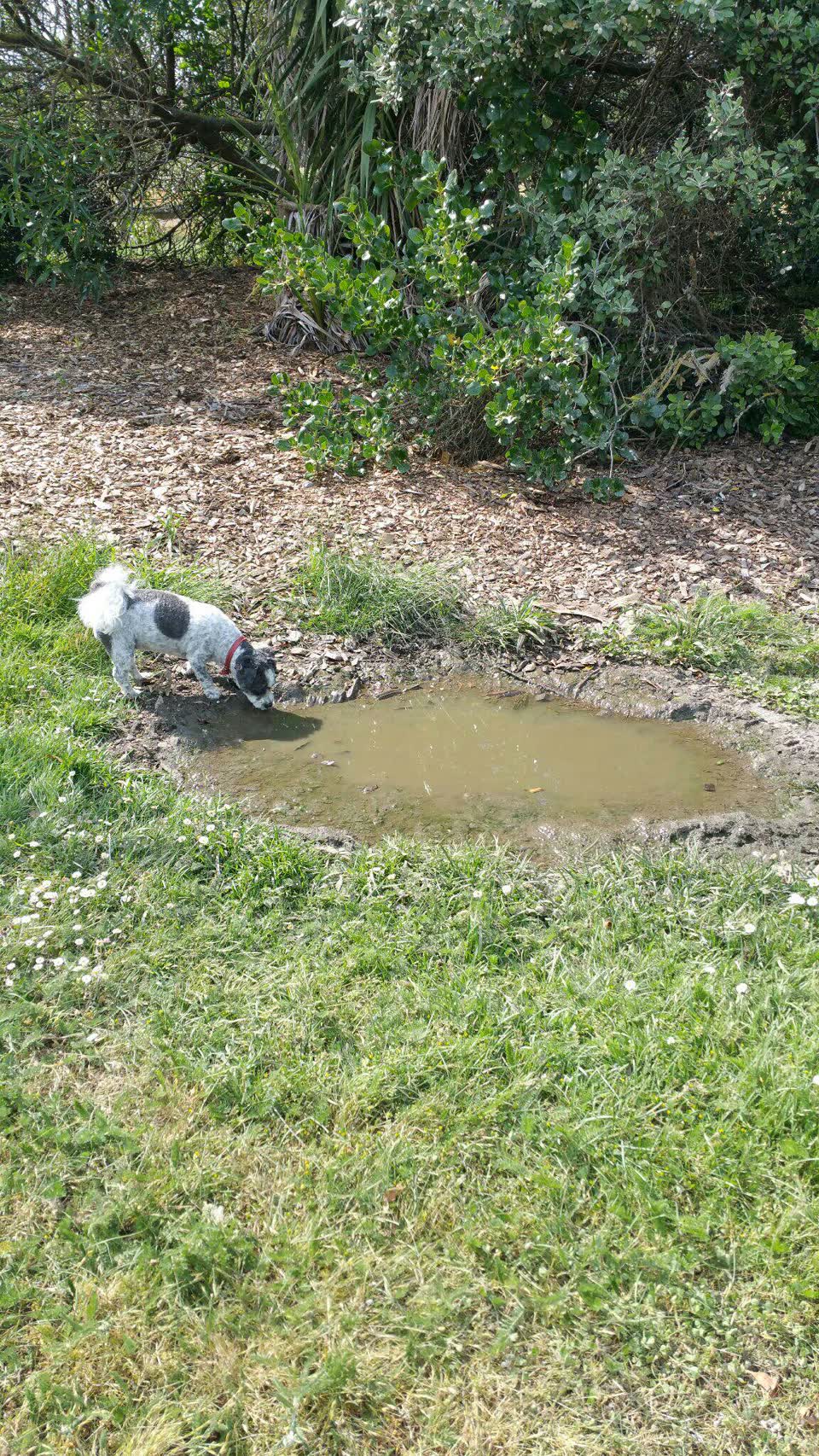 The photograph attached to this wastewater/stormwater report
