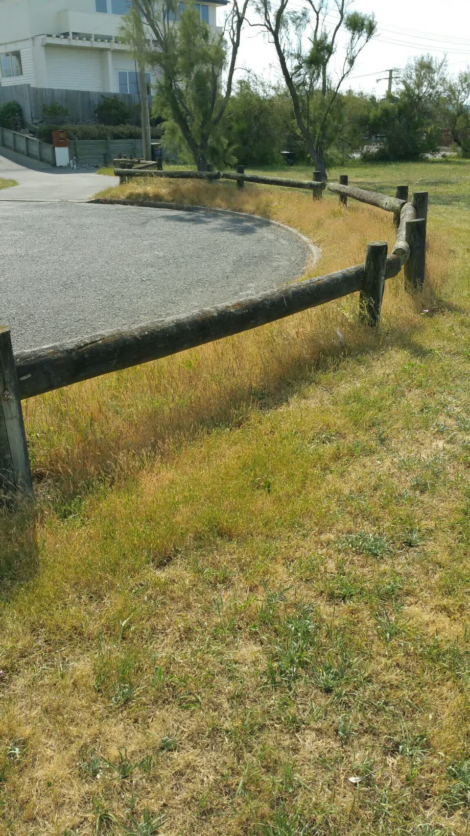 The photograph attached to this parks report