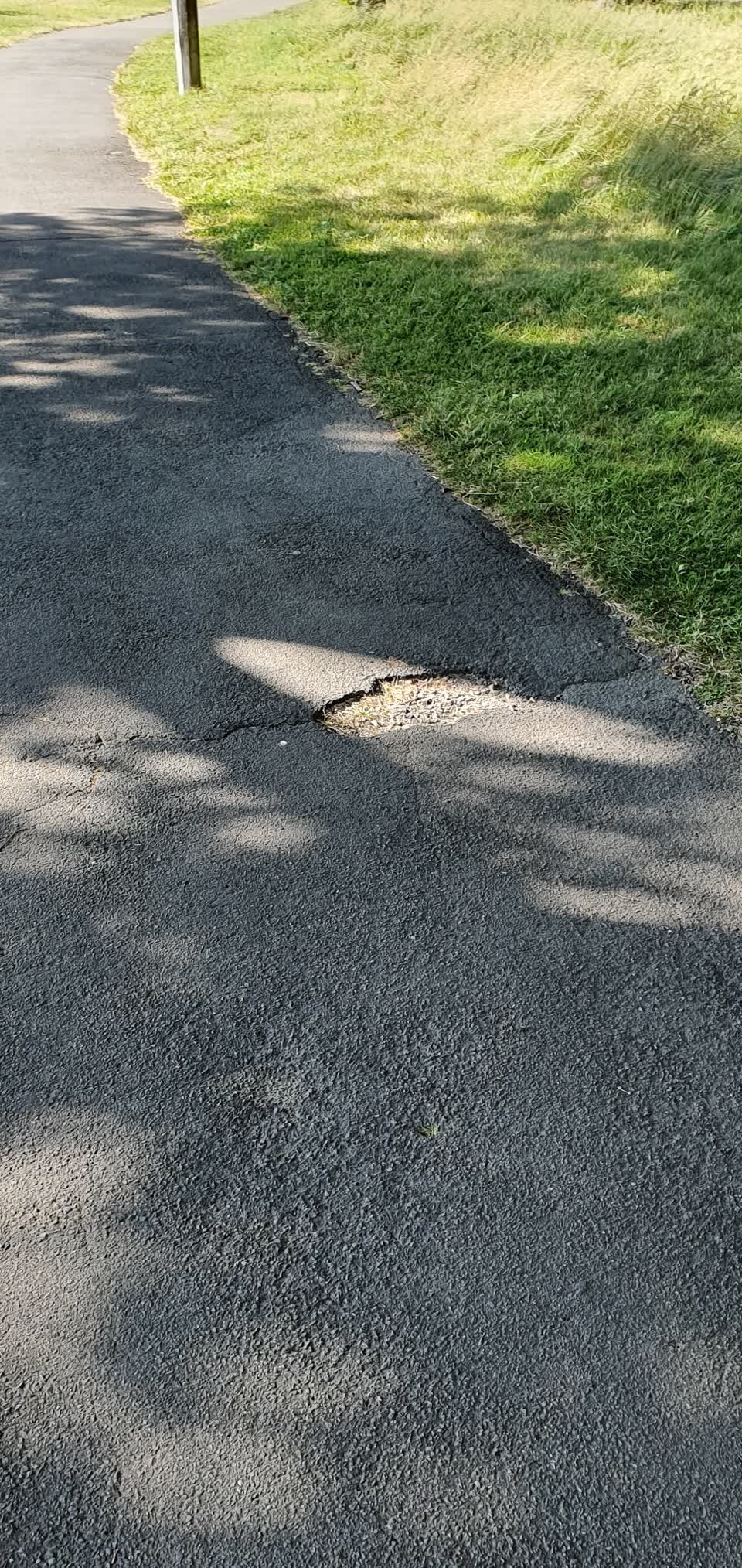The photograph attached to this parks report