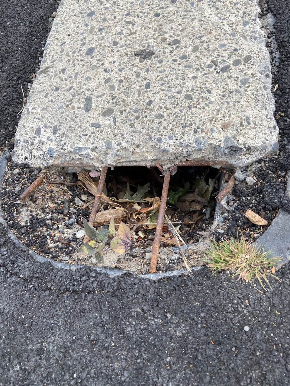 The photograph attached to this roading/streets report
