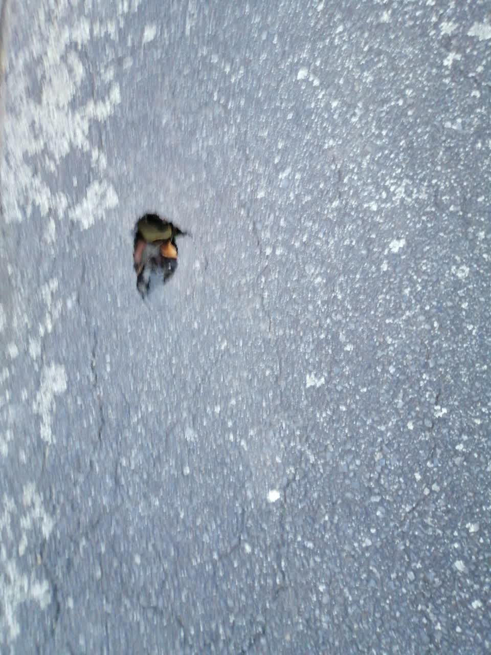 The photograph attached to this roading/streets report