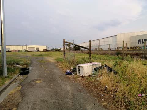 Rubbish/Recycling, a report photo