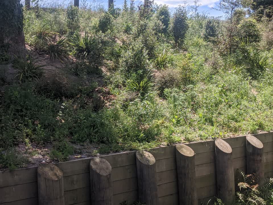 The photograph attached to this parks report