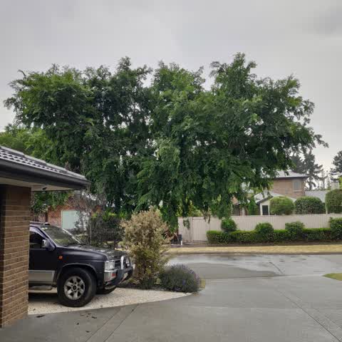 Roading/Streets, a report photo