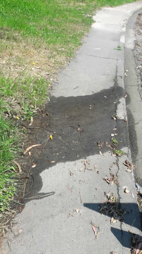 Wastewater/Stormwater, a report photo