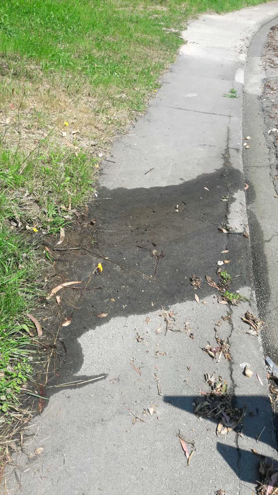 The photograph attached to this wastewater/stormwater report