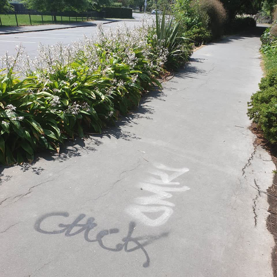 The photograph attached to this graffiti report