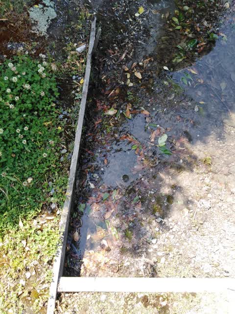 Water Supply — a report photo