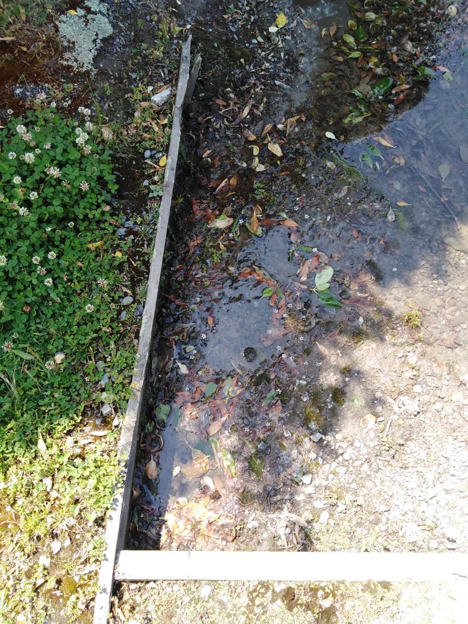 The photograph attached to this water supply report