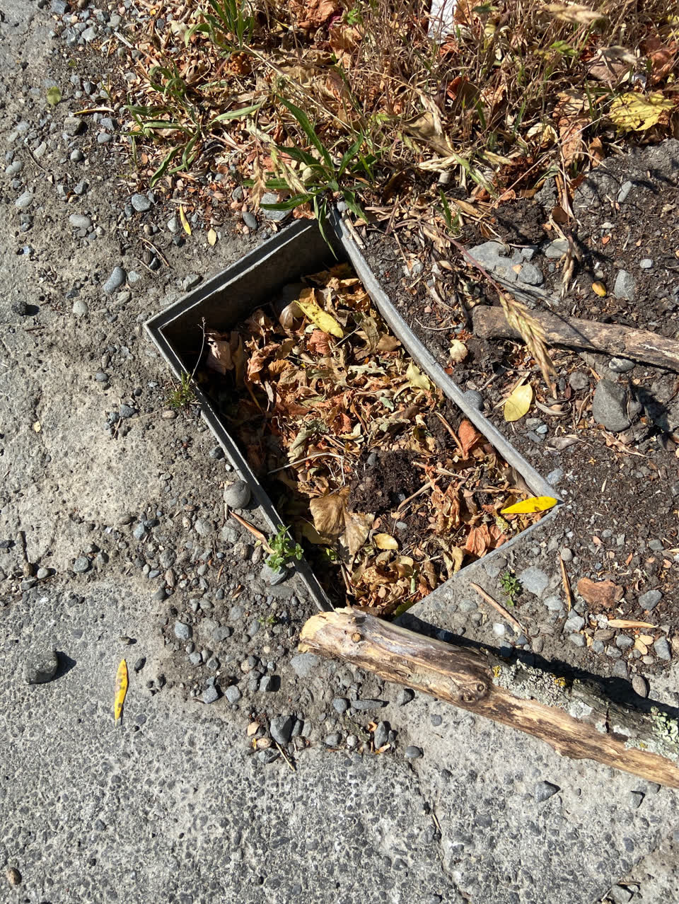 The photograph attached to this roading/streets report
