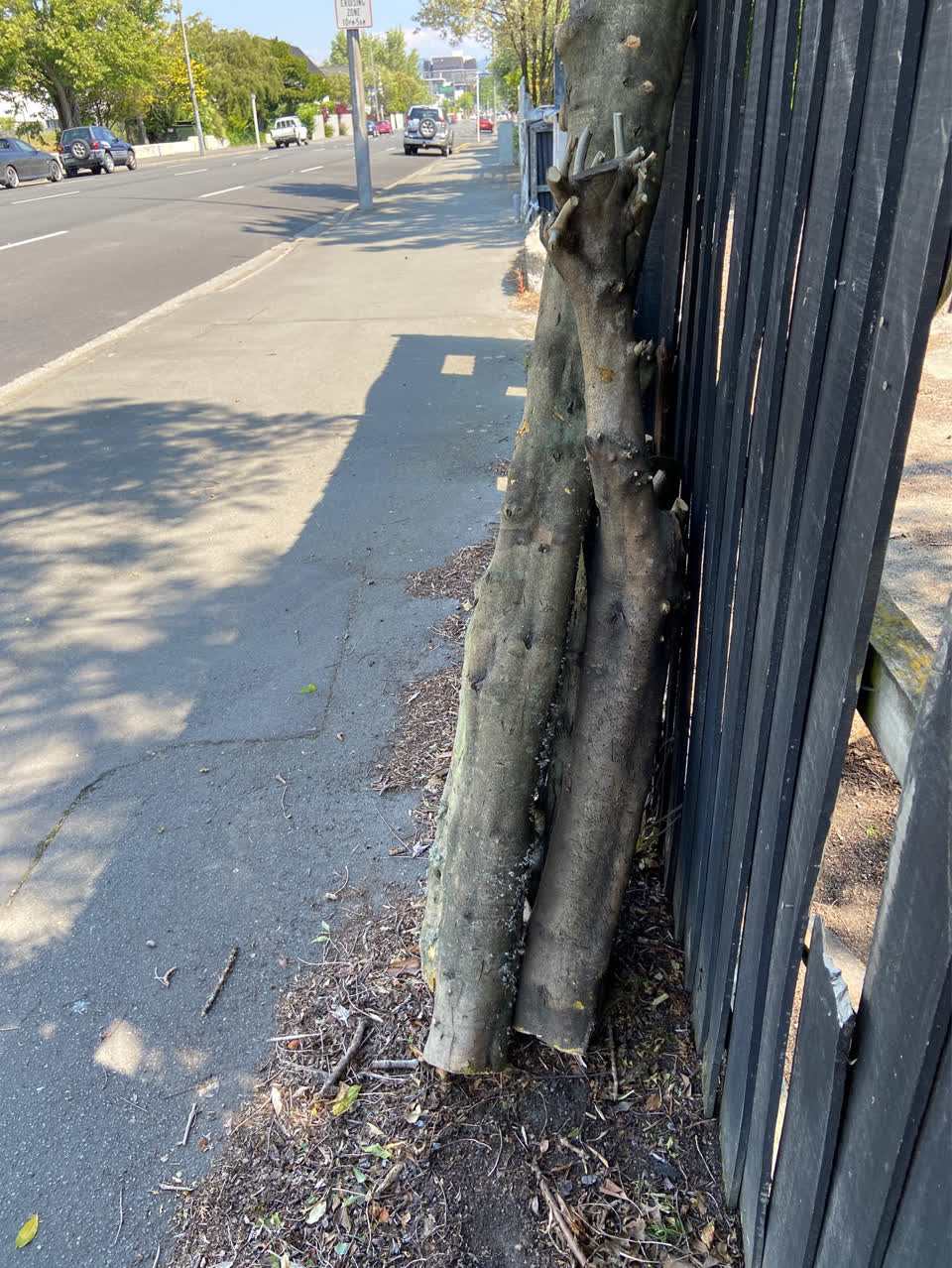 The photograph attached to this roading/streets report