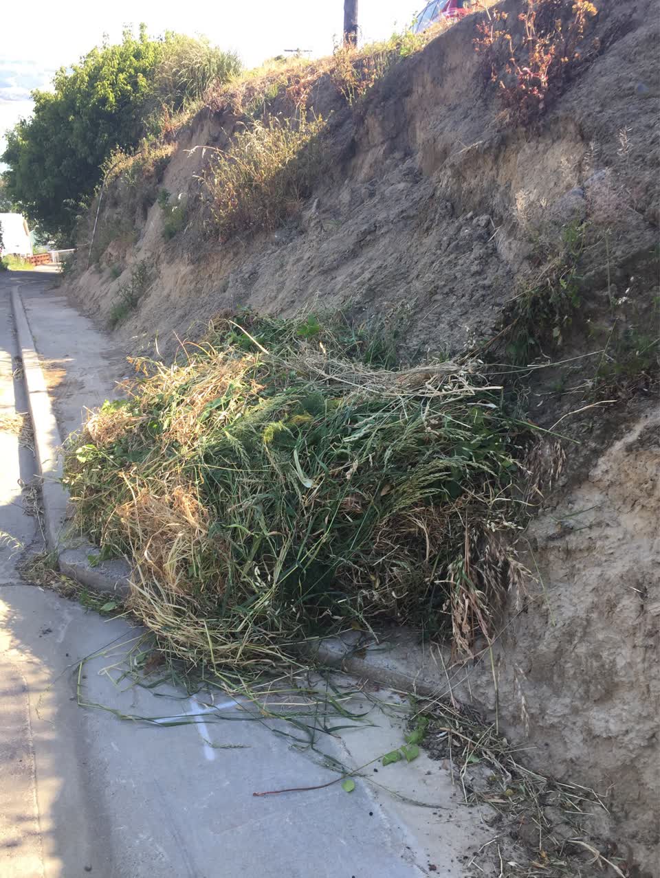 The photograph attached to this roading/streets report