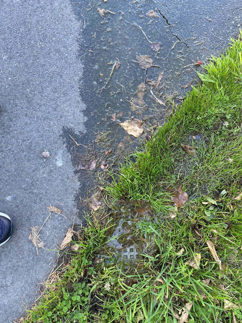 The photograph attached to this water supply report
