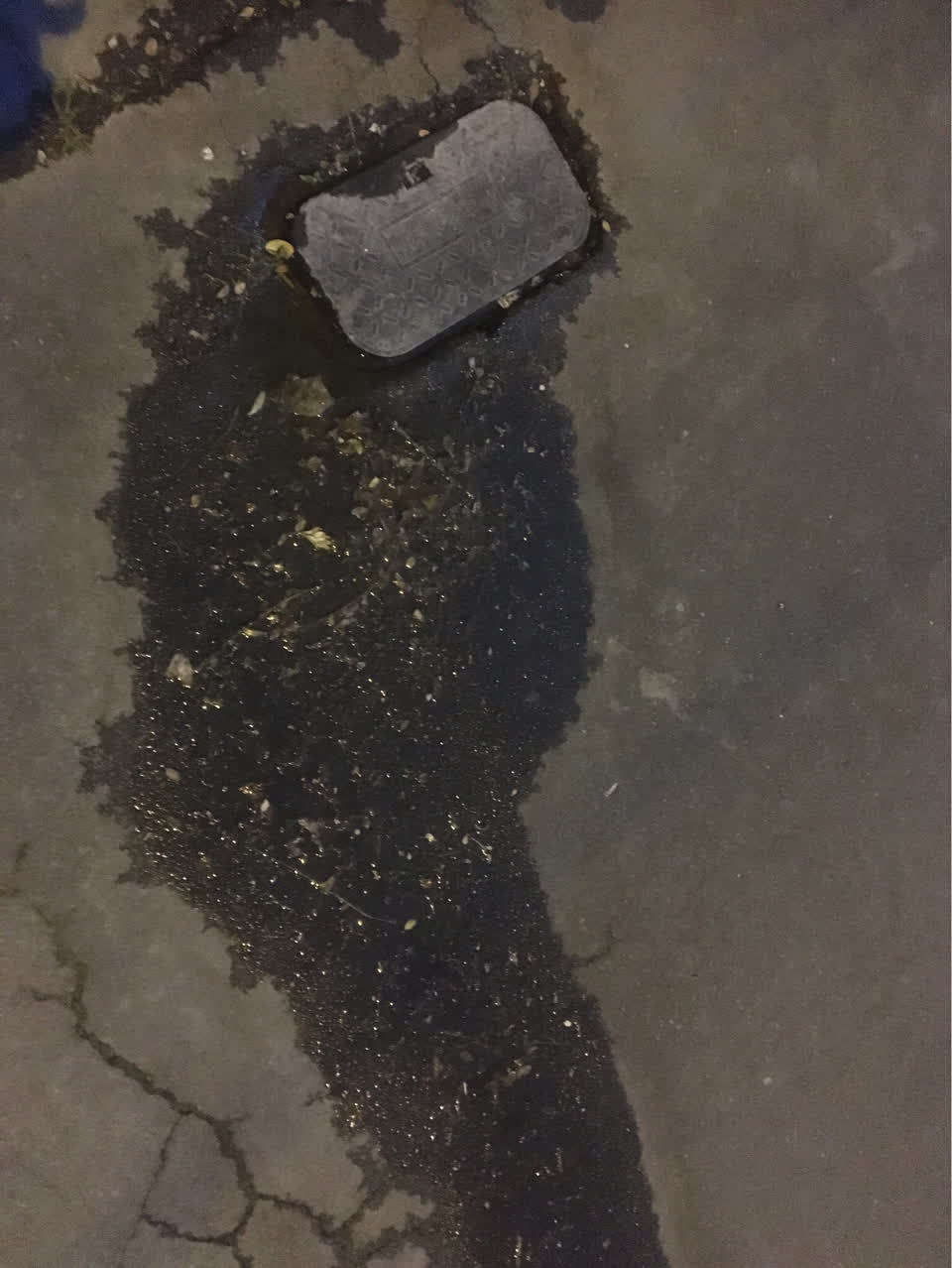 The photograph attached to this water supply report