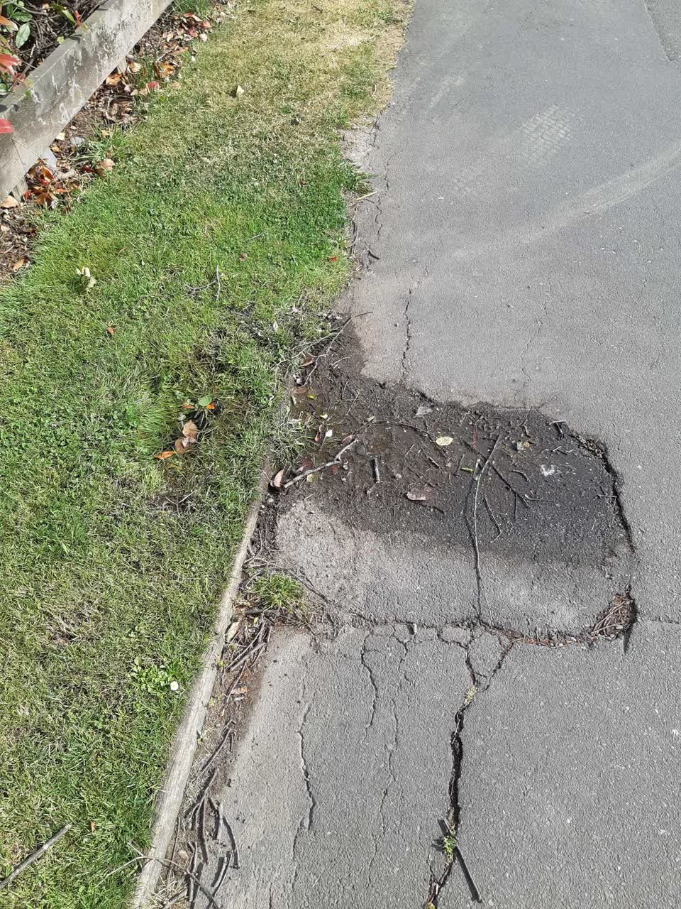 The photograph attached to this water supply report