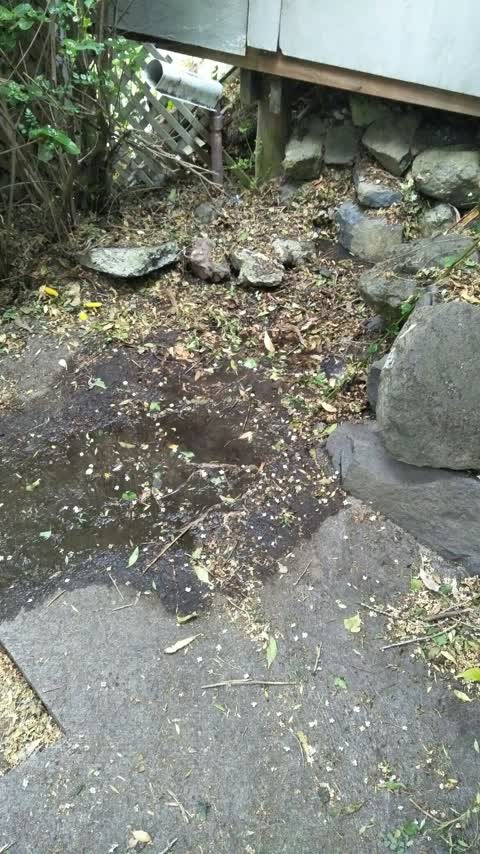 Water Supply, a report photo