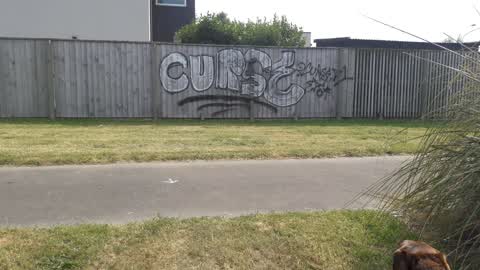 Graffiti, a report photo