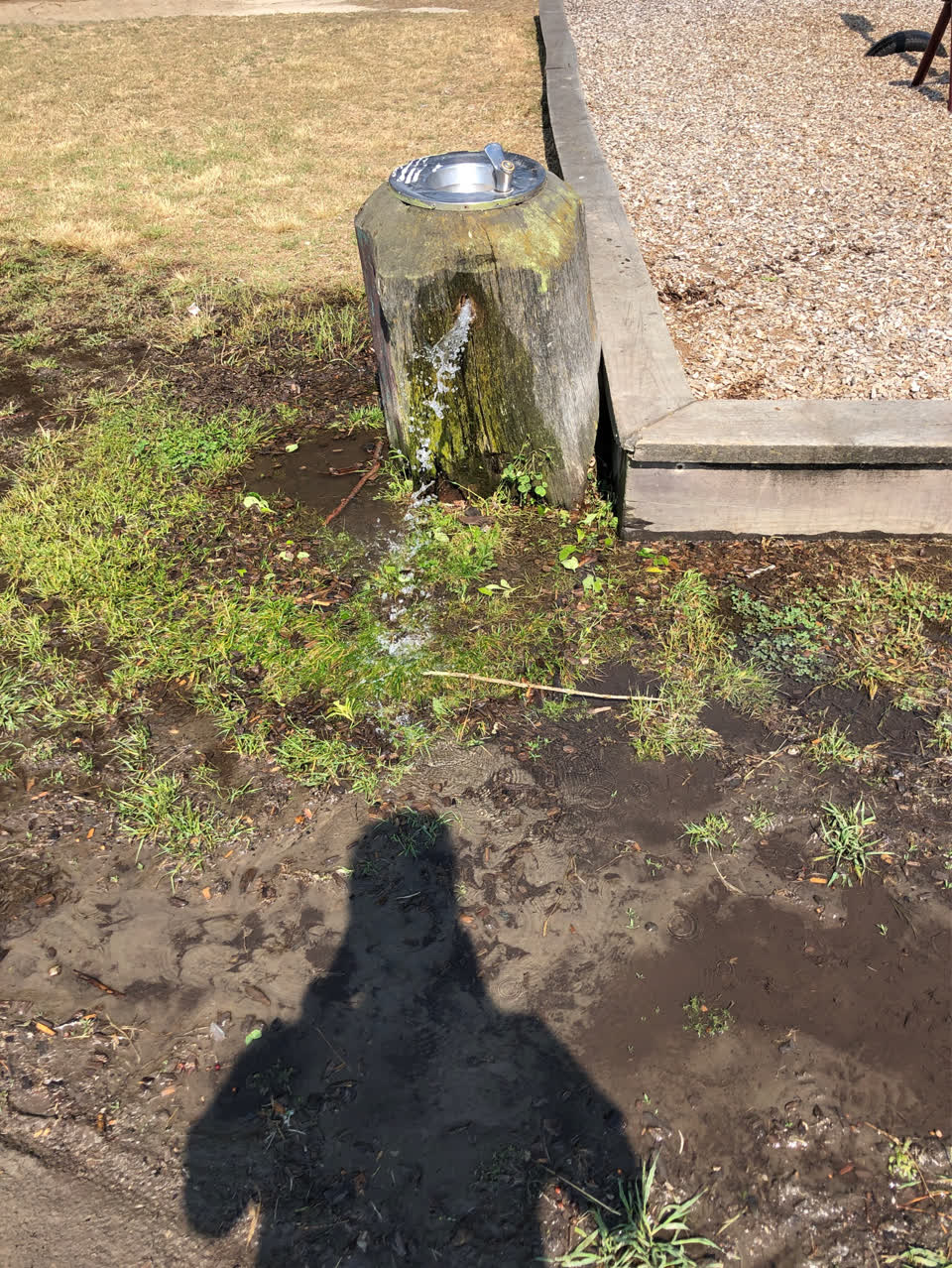 The photograph attached to this flooding report