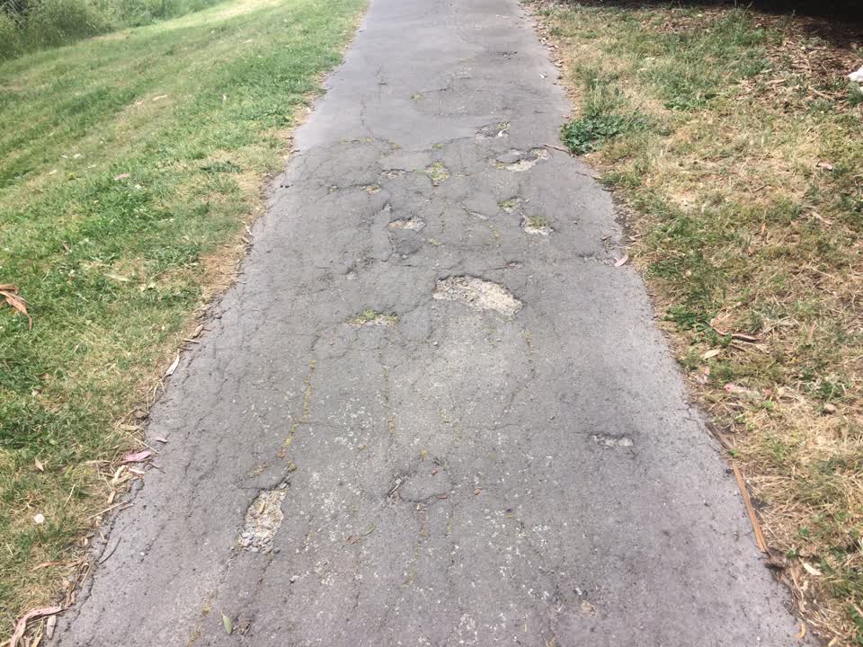 The photograph attached to this parks report