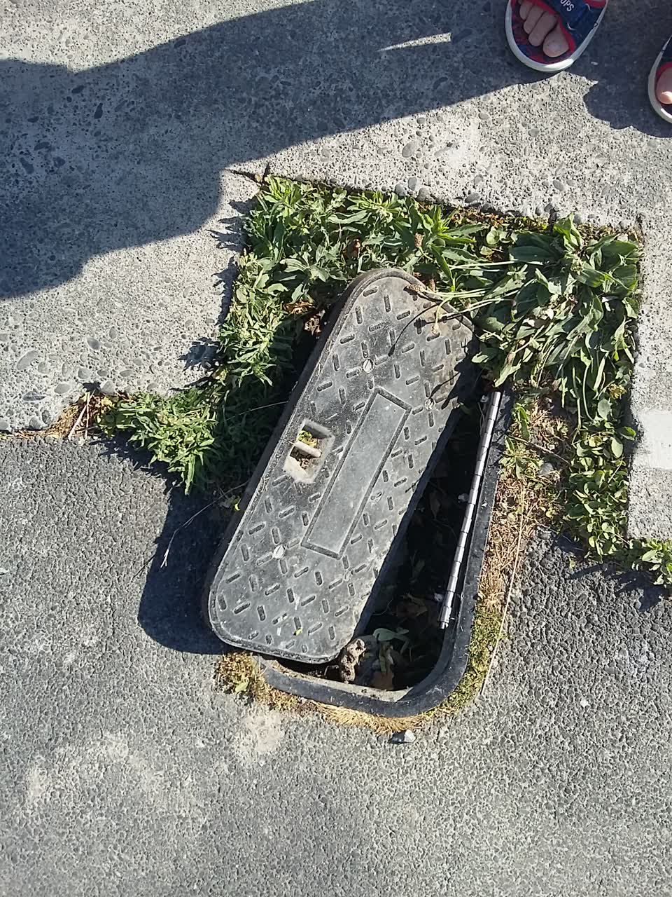 The photograph attached to this water supply report