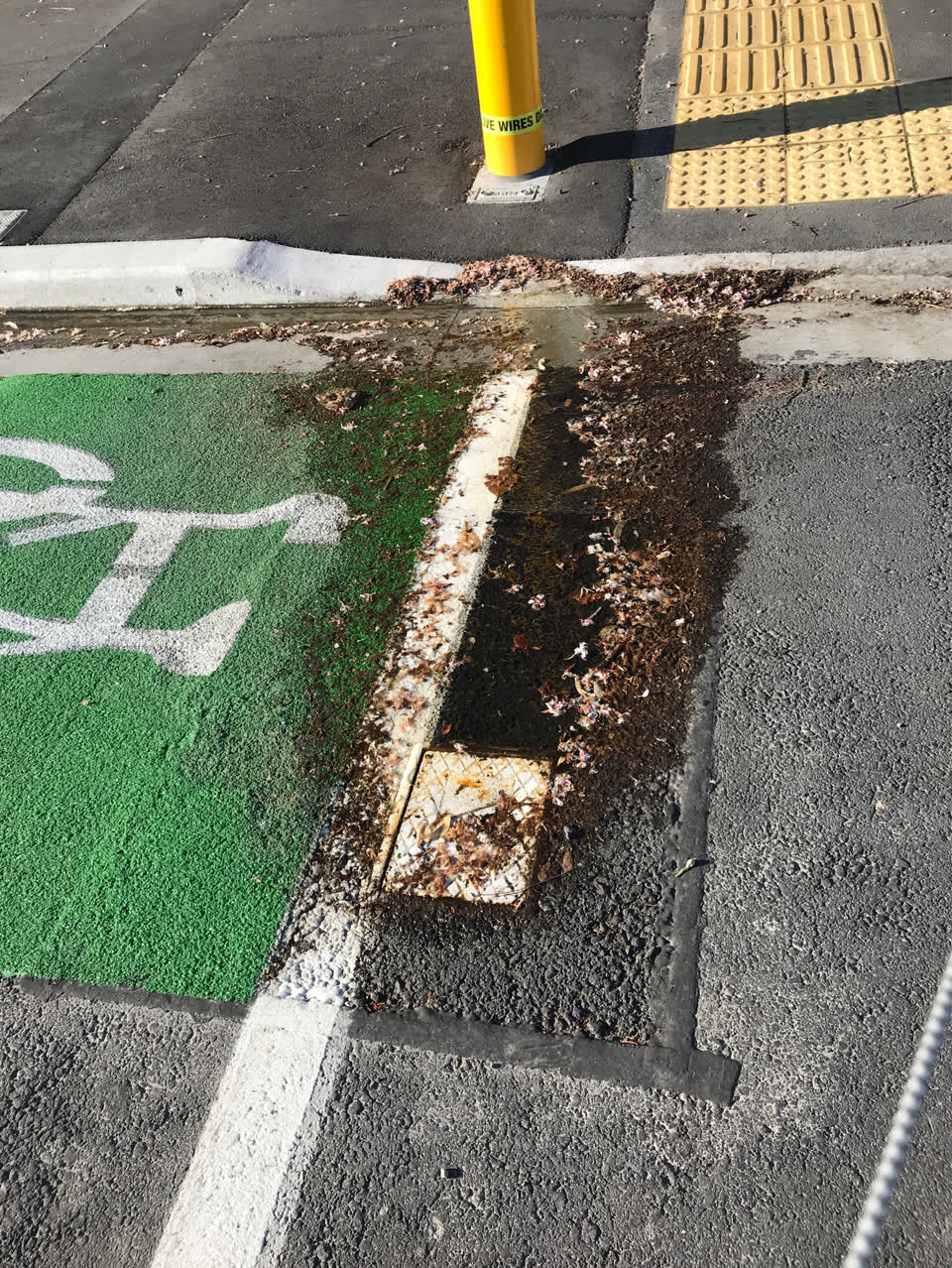 The photograph attached to this water supply report