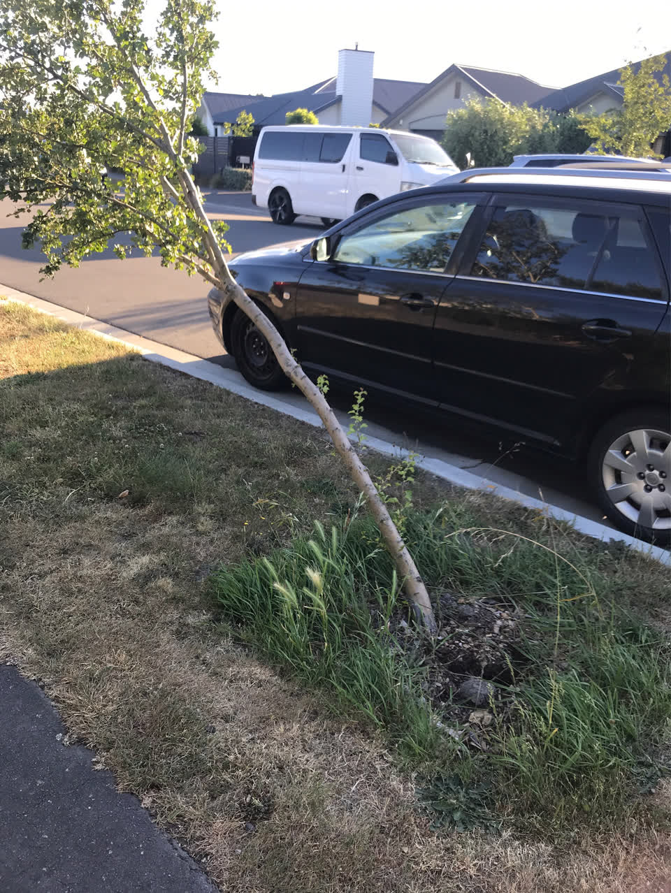 The photograph attached to this parks report