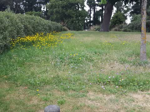 Parks, a report photo