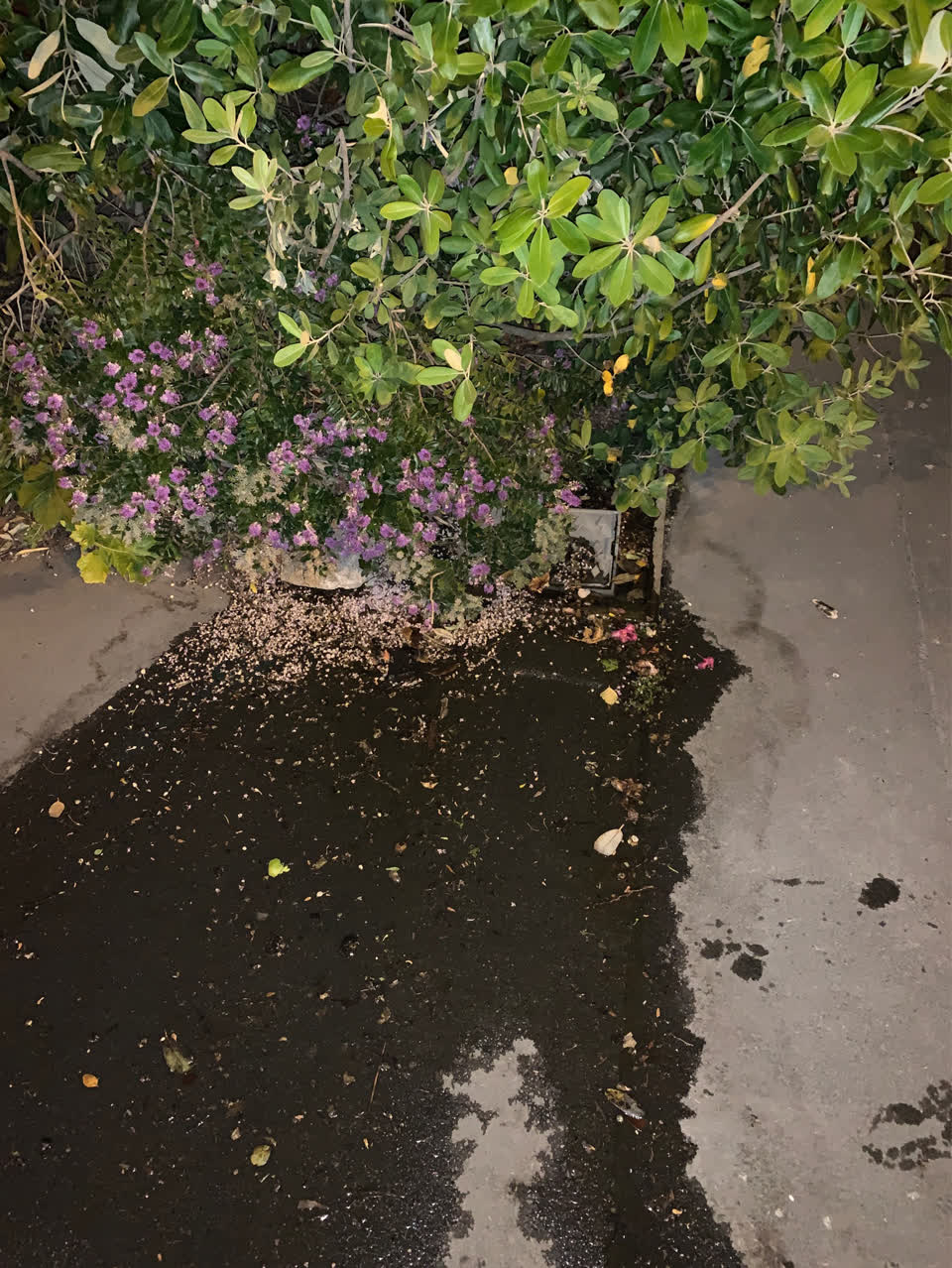 The photograph attached to this water supply report