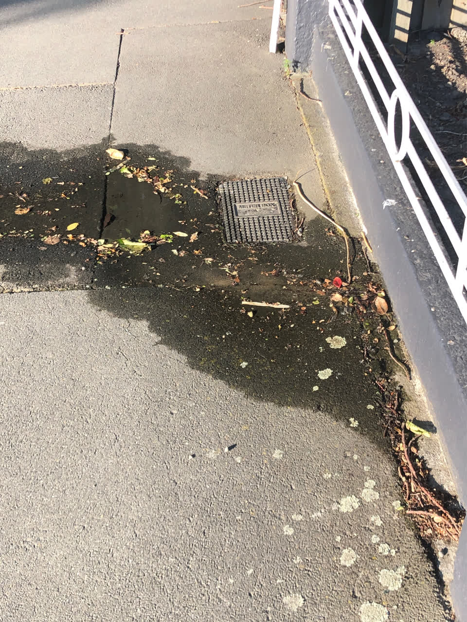 The photograph attached to this water supply report