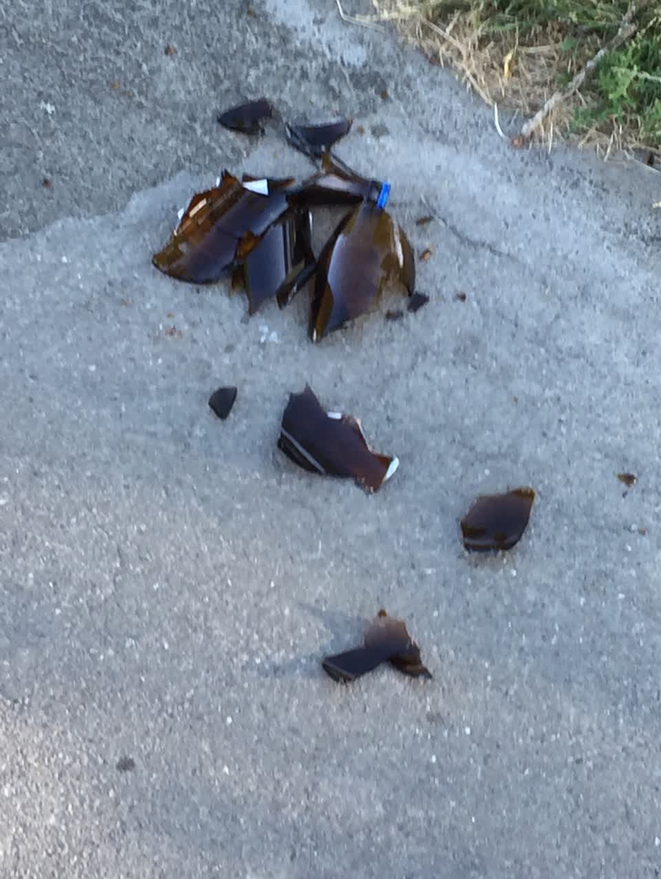 The photograph attached to this parks report