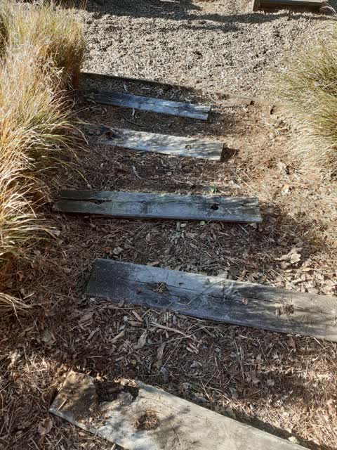 Parks, a report photo