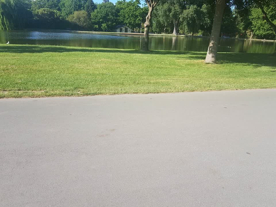 The photograph attached to this parks report
