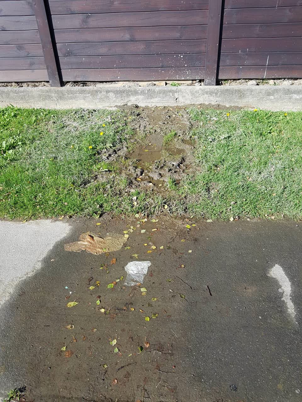 The photograph attached to this water supply report