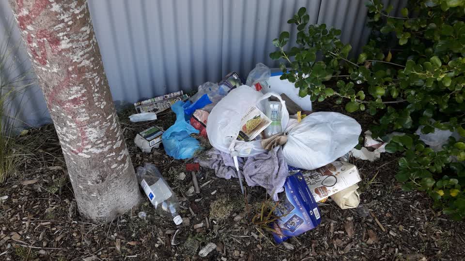 The photograph attached to this parks report