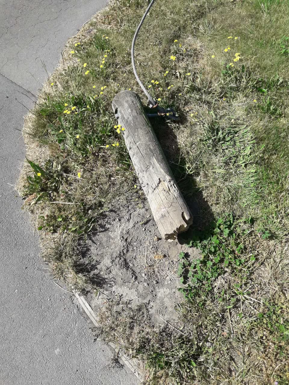 The photograph attached to this parks report