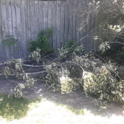 Rubbish/Recycling — a report photo