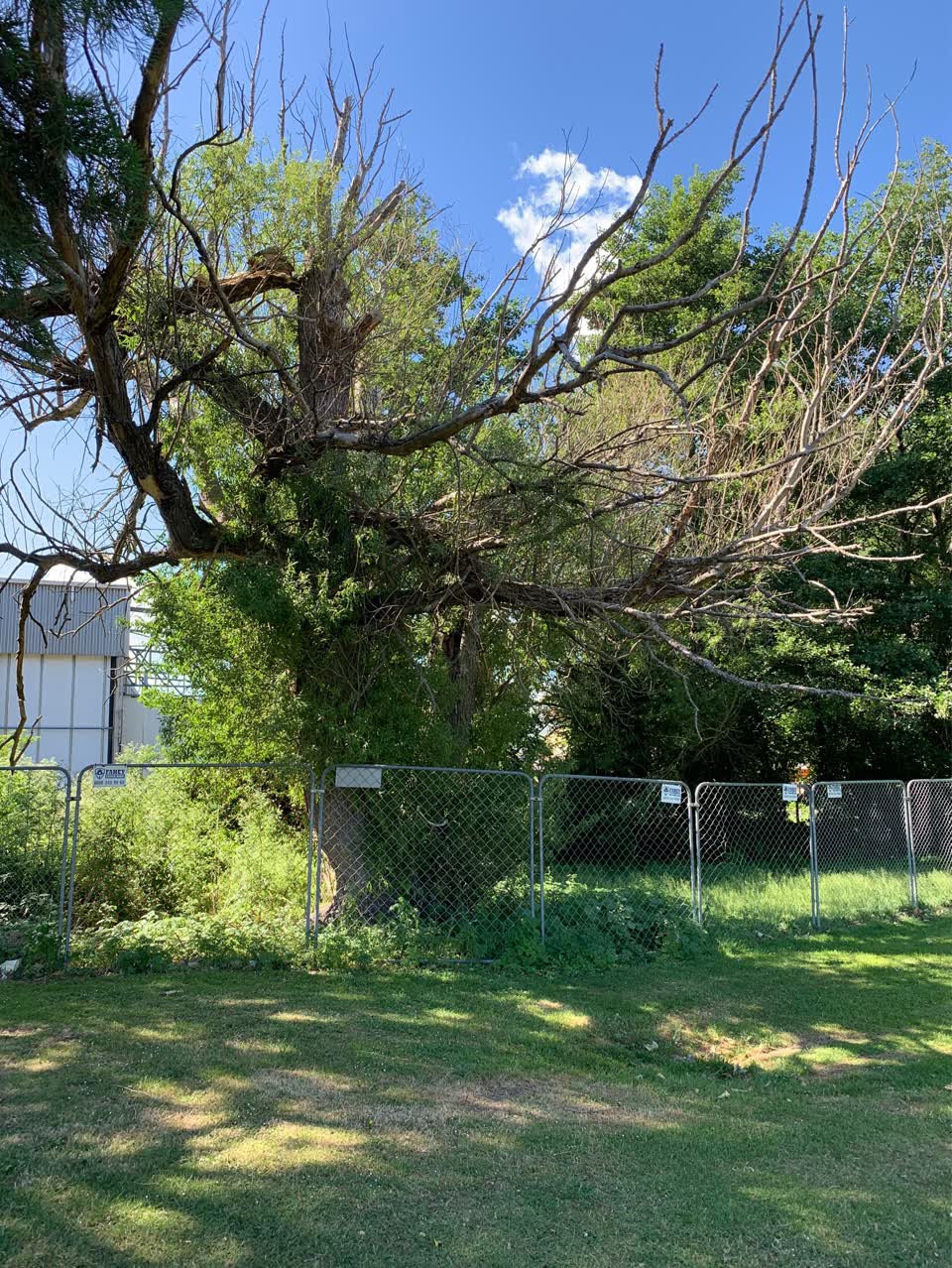 The photograph attached to this parks report