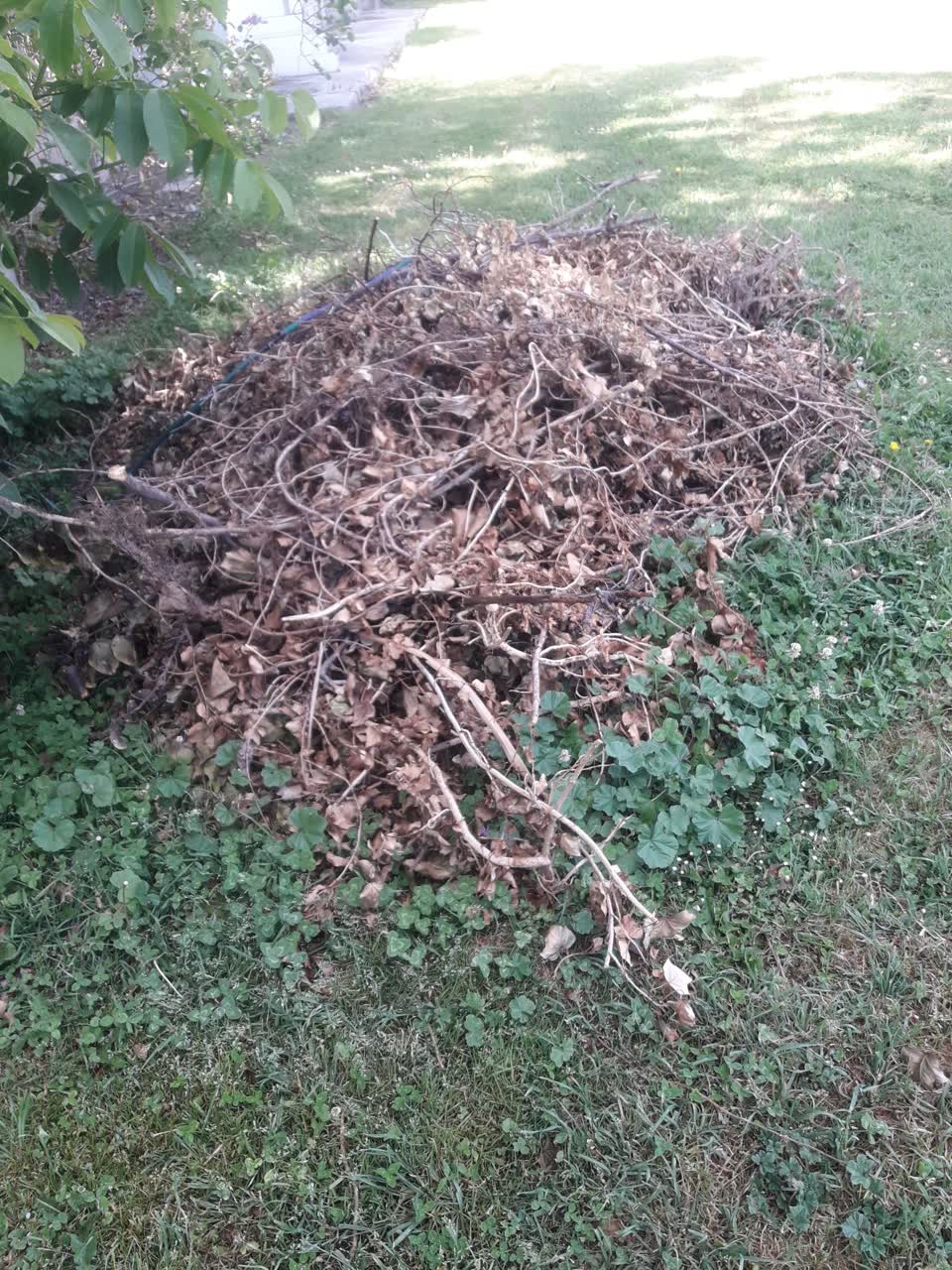 The photograph attached to this parks report