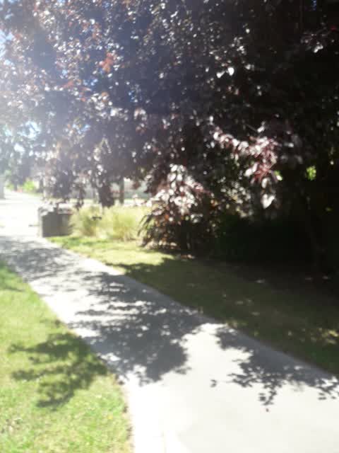 Parks, a report photo