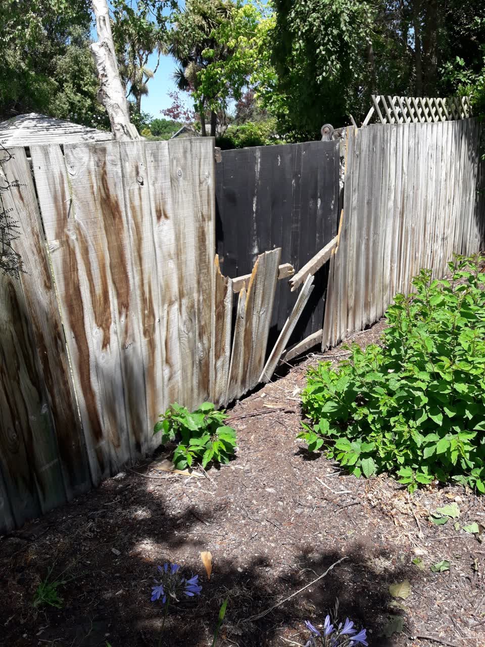 The photograph attached to this parks report