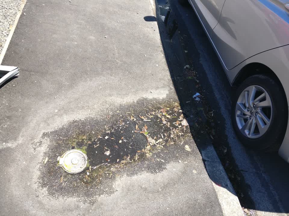 The photograph attached to this water supply report