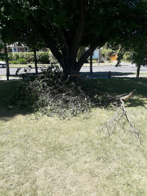 Parks — a report photo
