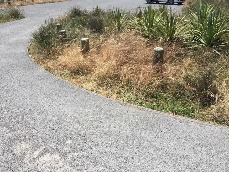 The photograph attached to this parks report